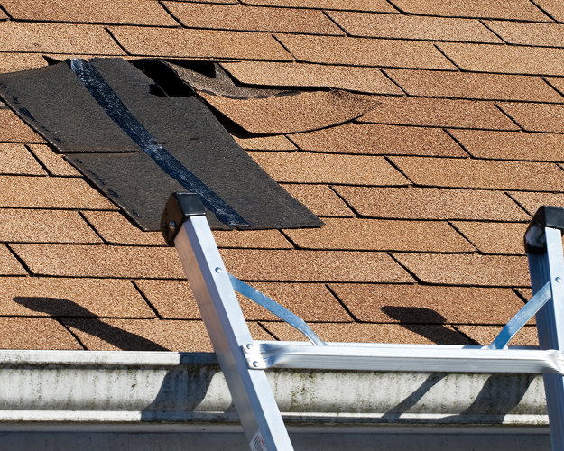 Severe wind damage to a residential shingle roof requiring professional repair.