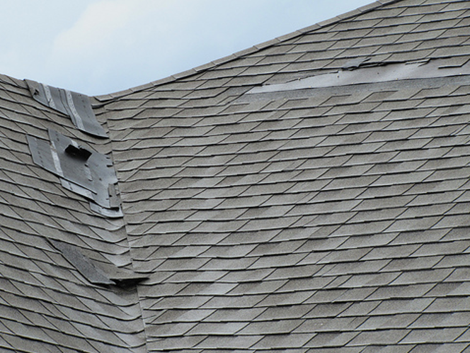 Wind Damage