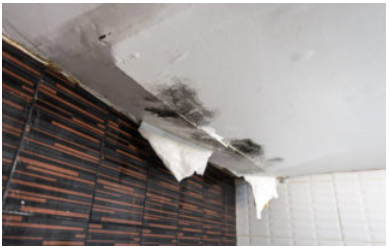 Got a Leaky Roof? - Image 1