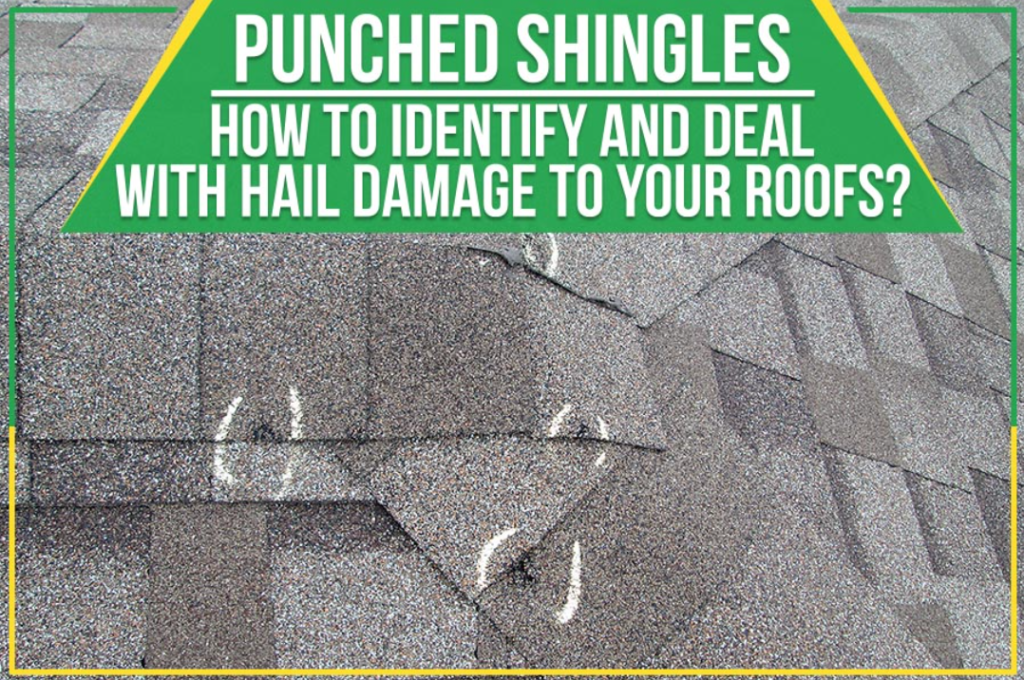 Punched Shingles in Roof